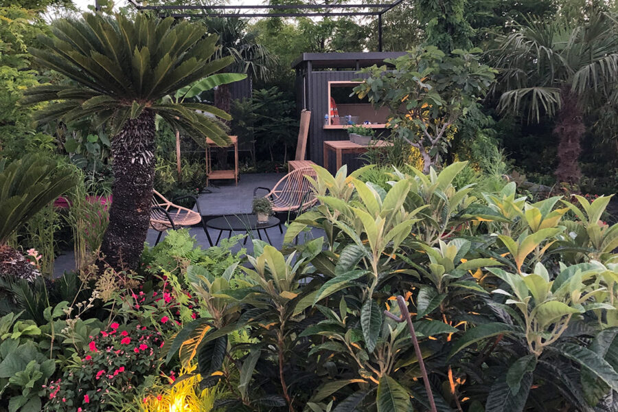 Landscape and Horticultural Design. Expert consultation on planting design and plant selection.