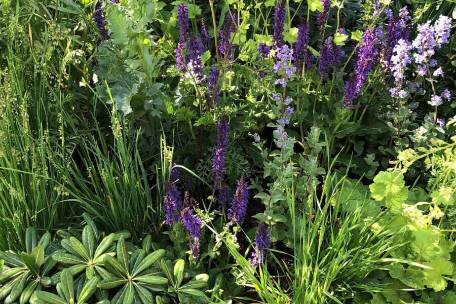 The Feel Good Garden