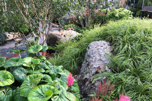 Landscape and Horticultural Design