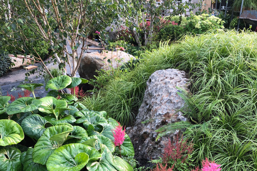 Landscape and Horticultural Design