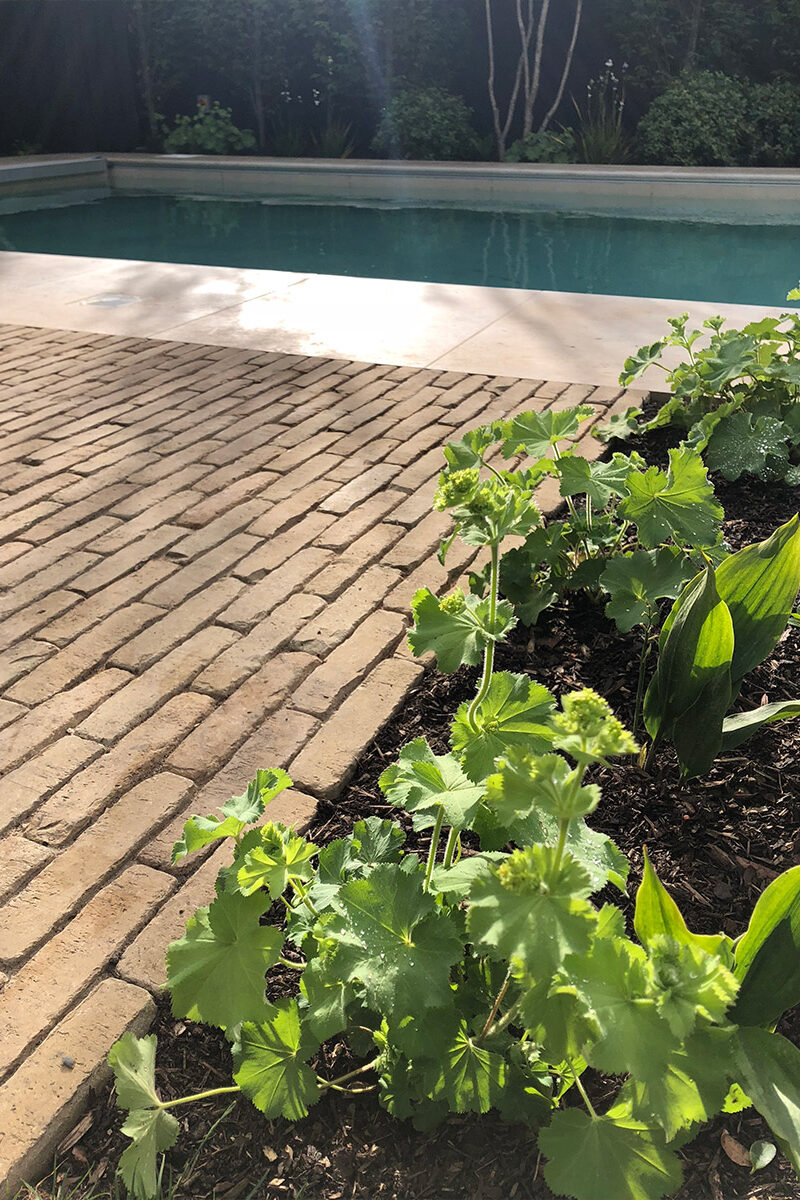 Hard landscaping and selected planting