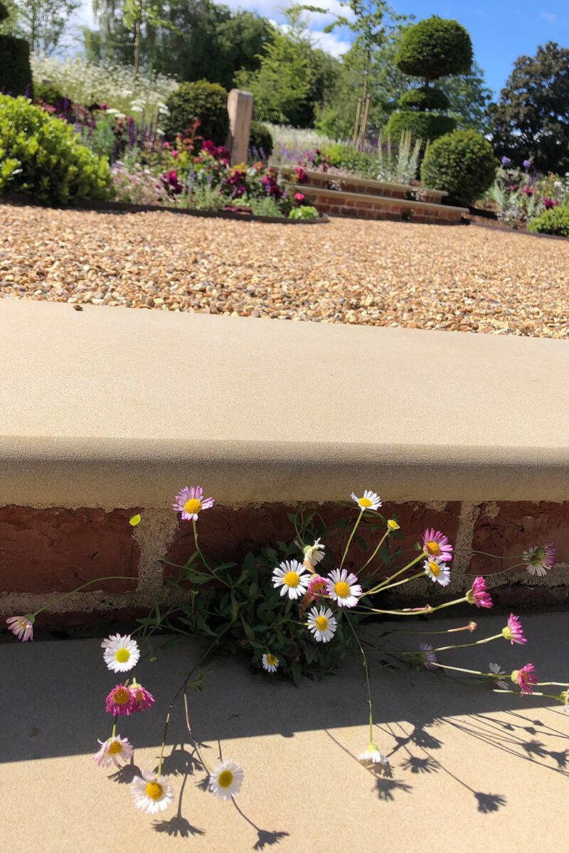 Steps to different levels with planting