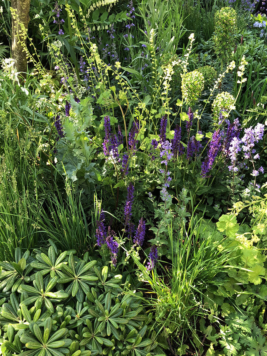 feel-good-garden01 Feel Good Garden on the portfolio of Studio Ikram