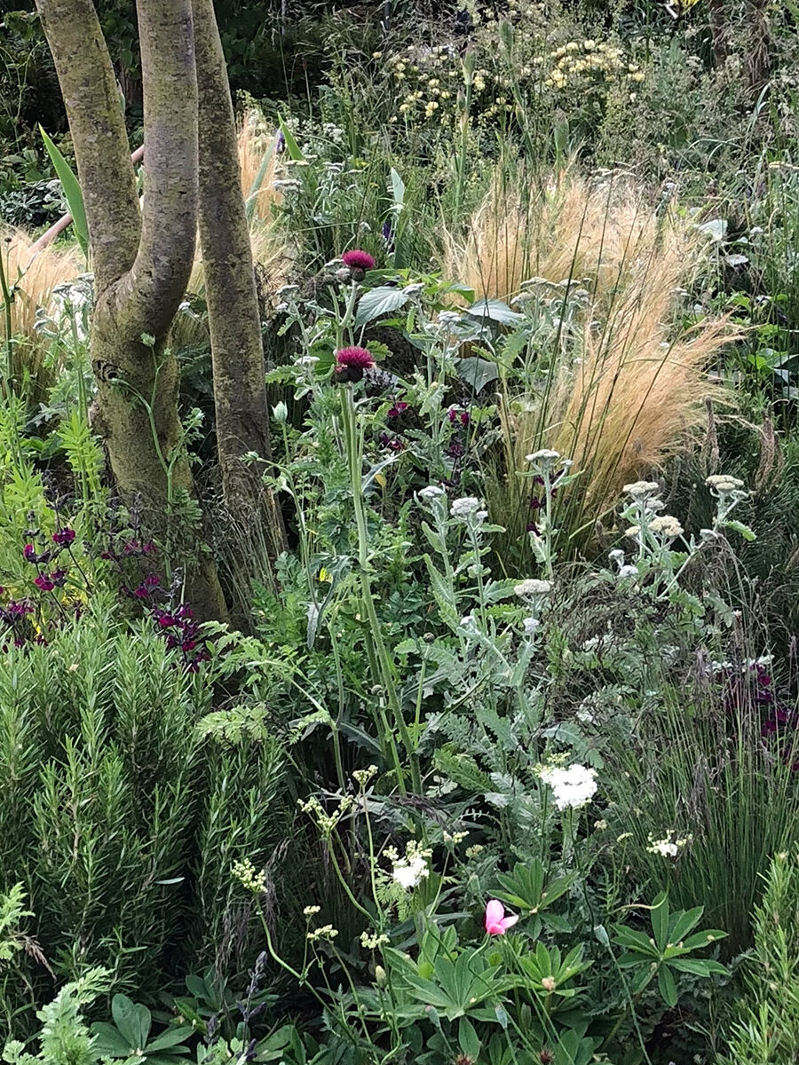 feel-good-garden02 Feel Good Garden design Chelsea Flower Show 2018