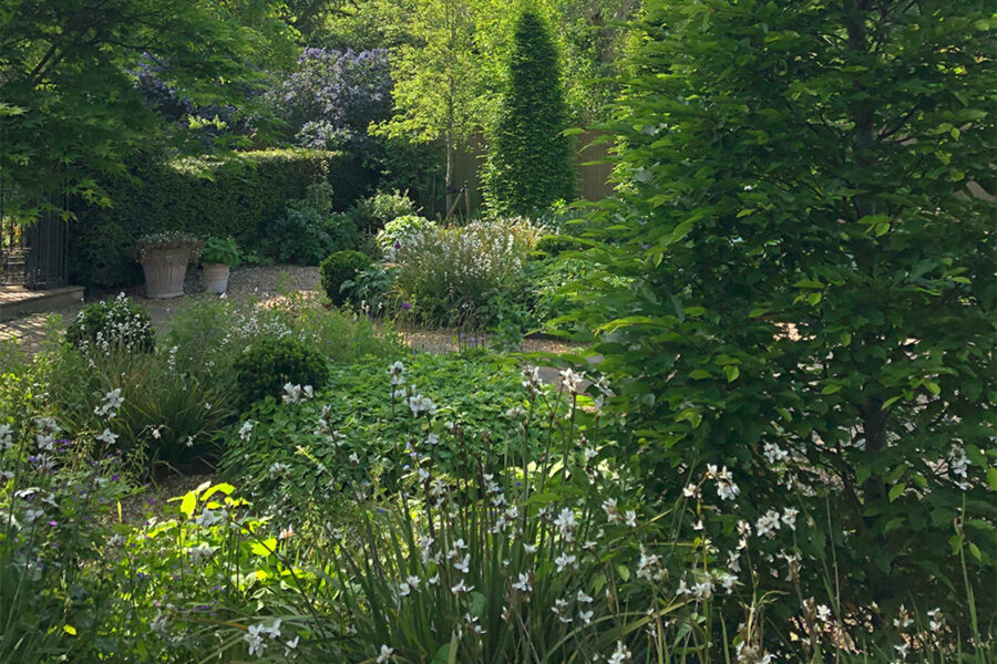 Hampton Court Portfolio image